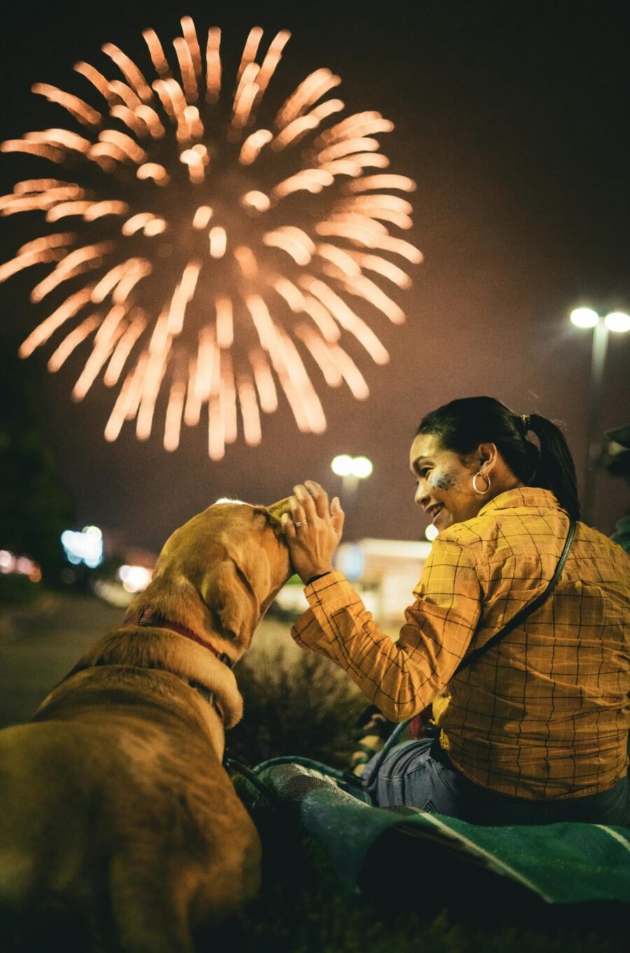 fuegos_artificiales_mascotas_001_pic